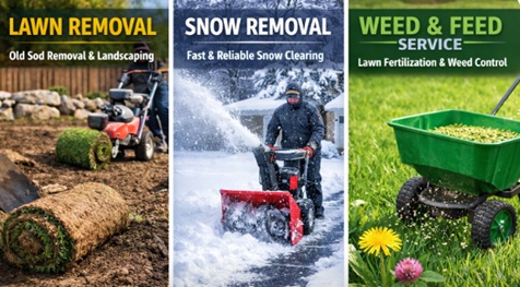 Lawn Weed and Feed Near Me: What Homeowners Should Know